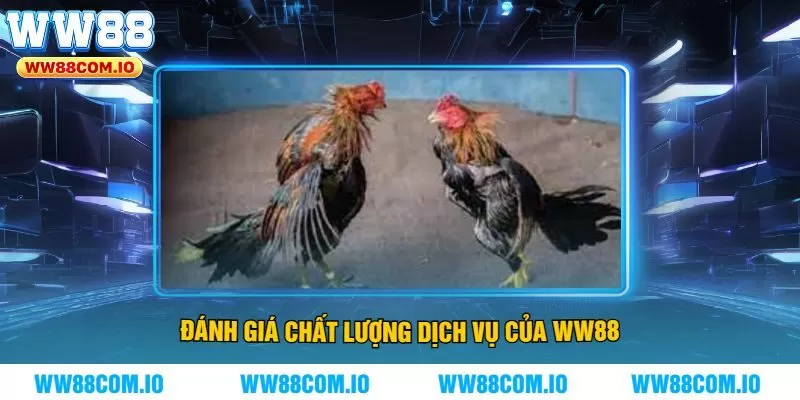 Đánh giá chất lượng dịch vụ của WW88