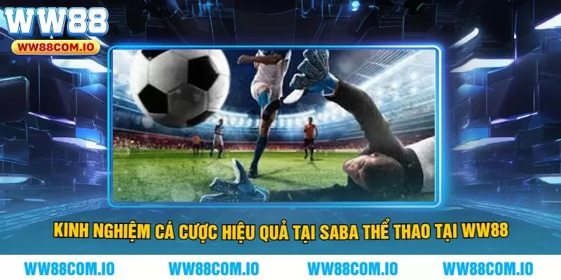 Kinh nghiệm cá cược hiệu quả tại Saba thể thao tại WW88