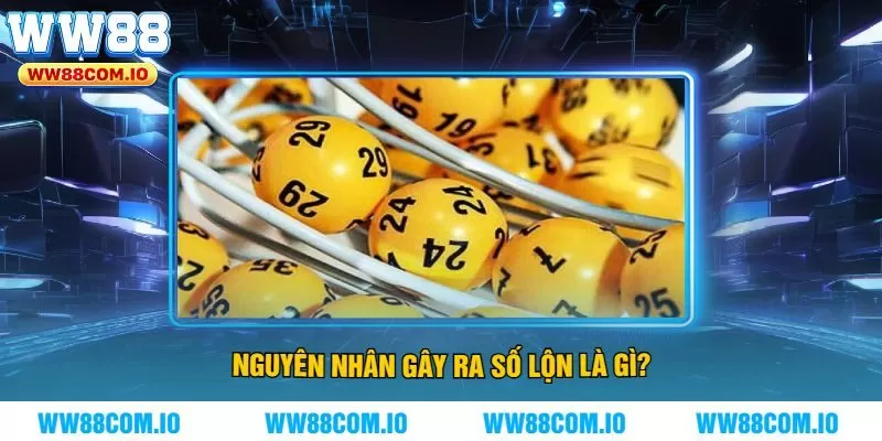 Nguyên Nhân Gây Ra Số Lộn Là Gì?