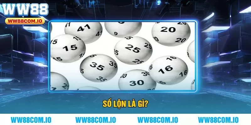 Số lộn là gì?