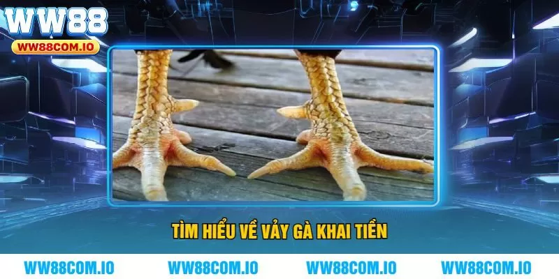 Tìm hiểu về vảy gà khai tiền
