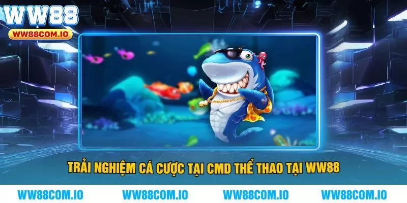 Trải nghiệm cá cược tại CMD thể thao tại WW88